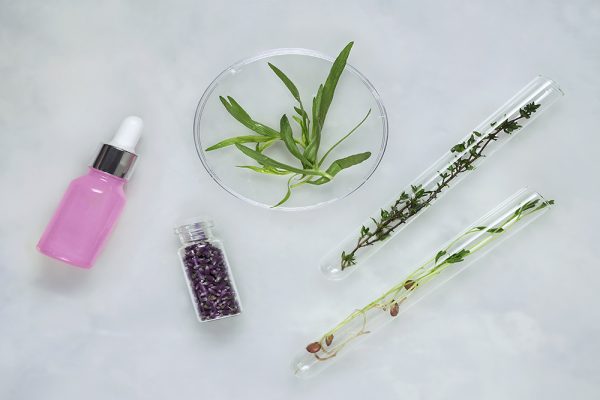 Cosmetic skincare background. Herbal medicine with with green leaves and petals. Petri dishes, cosmetics tubes. Natural skincare background